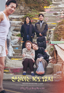 찬실이는 복도 많지